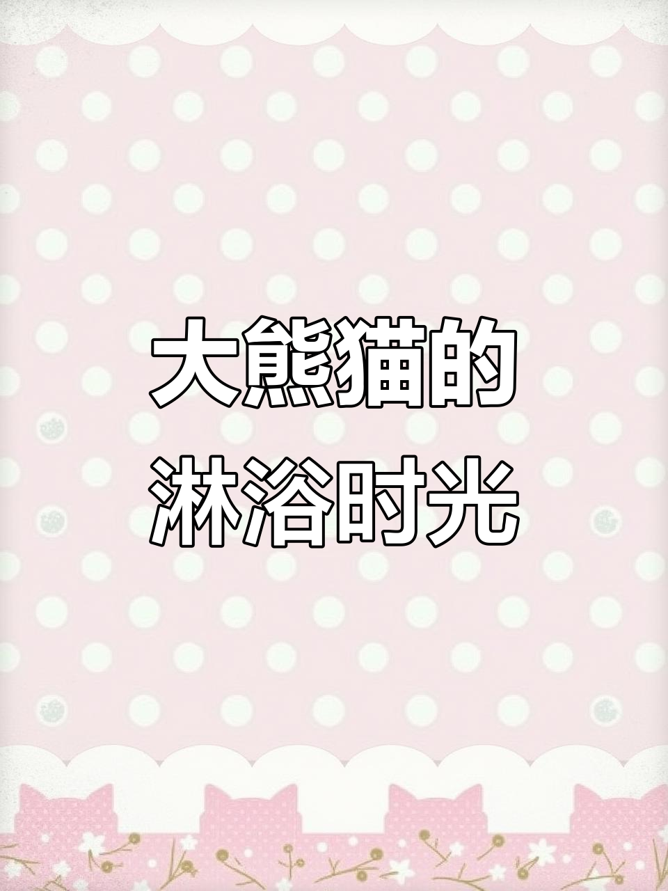 熊猫洗澡时一脸享受,鲤鱼也来凑热闹