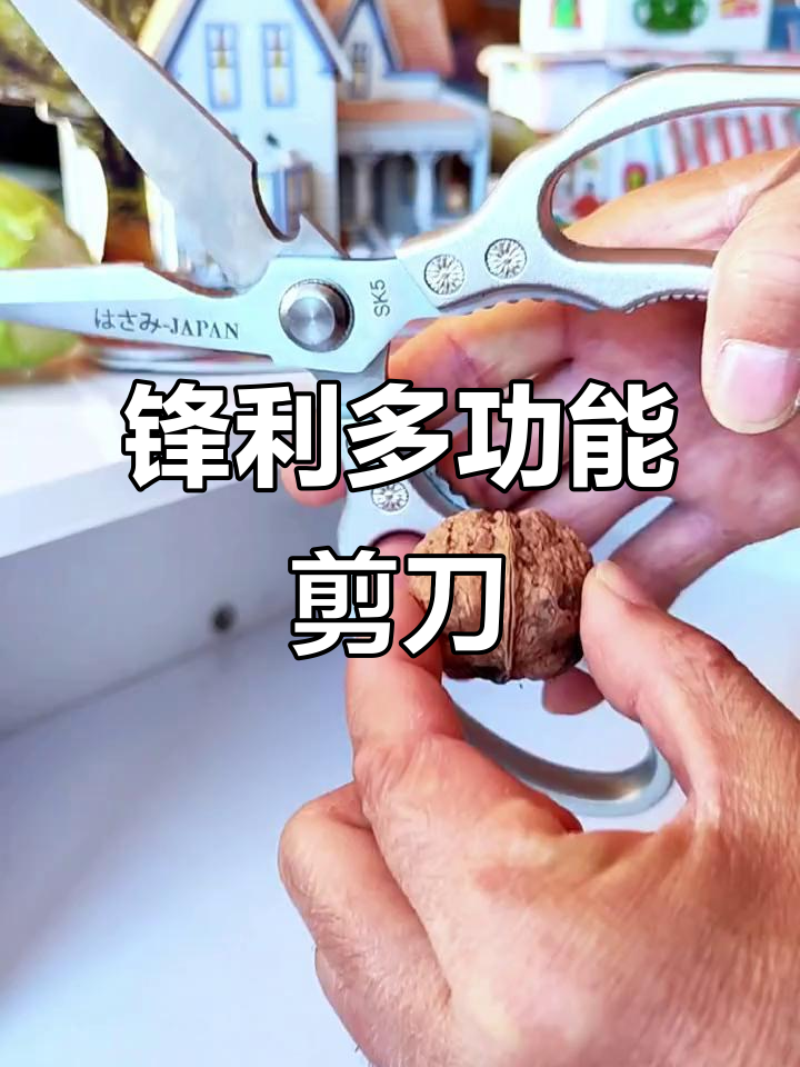 多功能不锈钢剪刀,轻松剪鱼、鸡肉和玉米,带锯齿刮鳞更方便