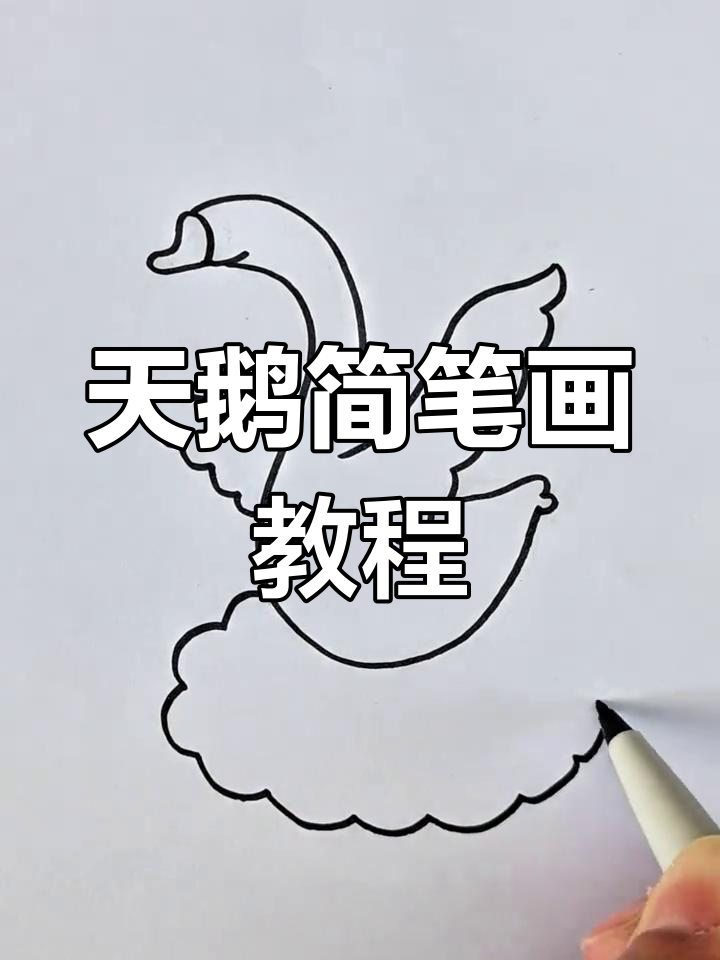 轻松学画飞翔天鹅,简单步骤教你画出可爱白天鹅