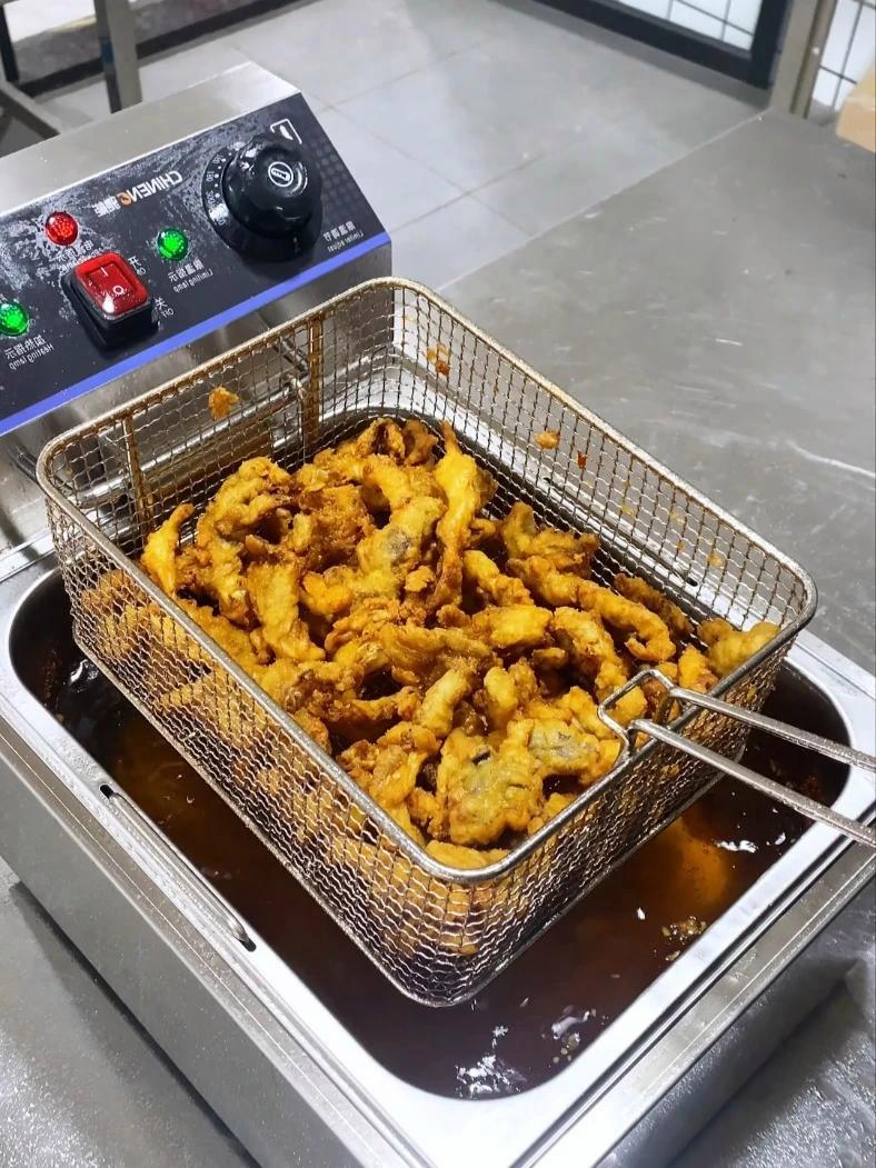 新开的炸食店怎么引流?商用厨房设备 电炸炉 炸炉 商用炸炉 家用炸炉