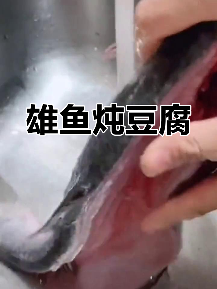 雄鱼煮豆腐,湖南特色美味做法