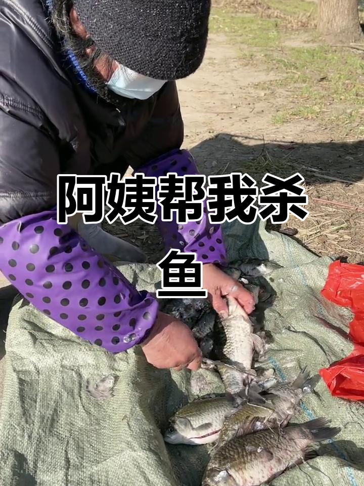 买鱼遇到阿姨杀鱼的搞笑瞬间,英语口语来啦!