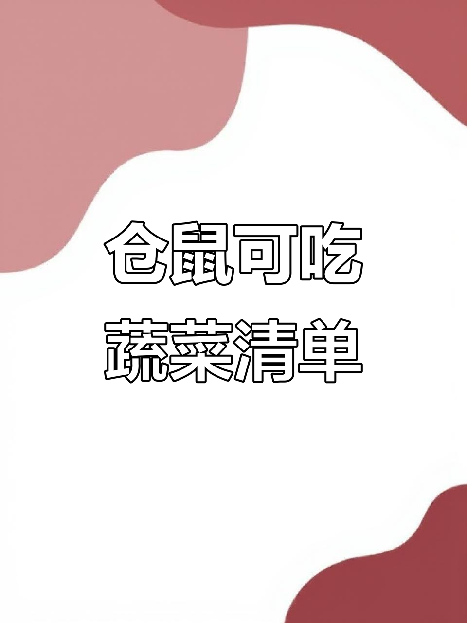 仓鼠能吃的蔬菜大揭秘,这些才是健康选择