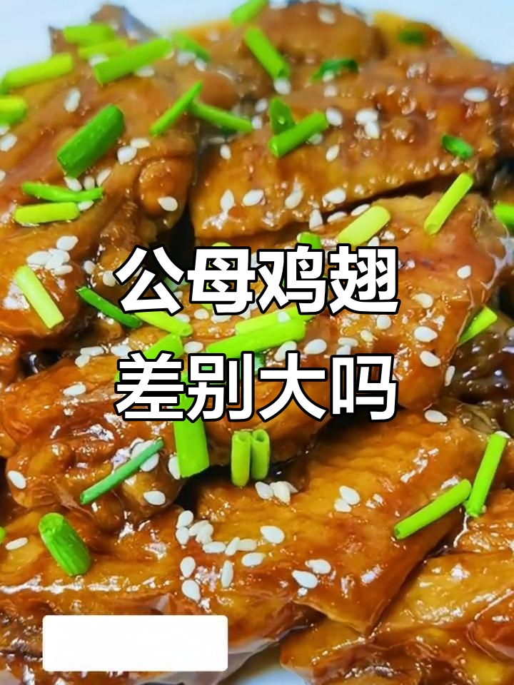 公鸡和母鸡的翅膀到底有啥不同?红烧做法大揭秘