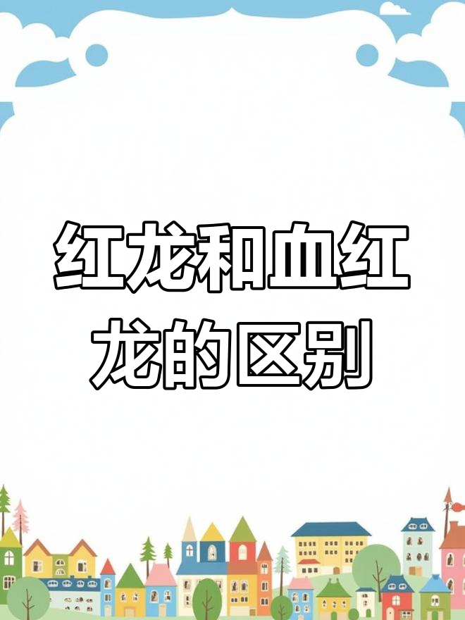 红龙鱼与血红龙的差异,了解不同品种的特点