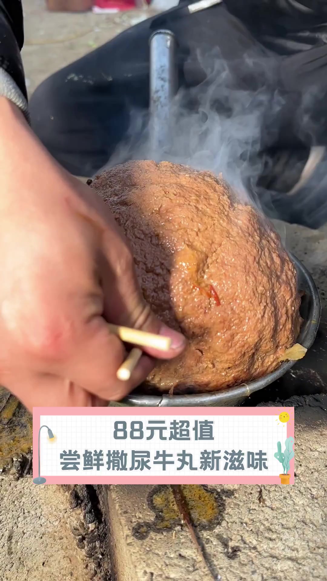 88元超值,尝鲜撒尿牛丸新滋味