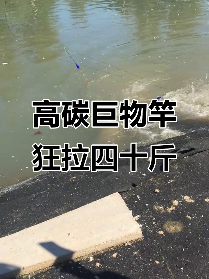 青鲟至尊三代高碳巨物竿,轻松应对四五十斤大鱼挑战