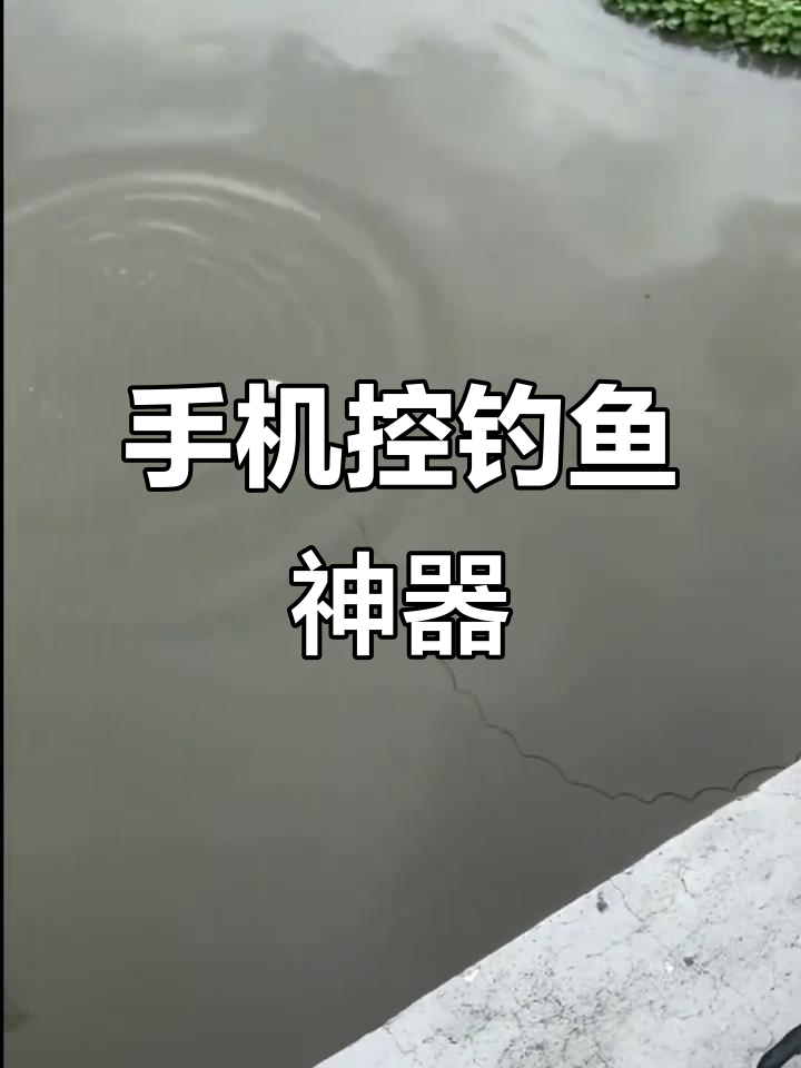 佳明探鱼器,手机连接,岸钓必备神器