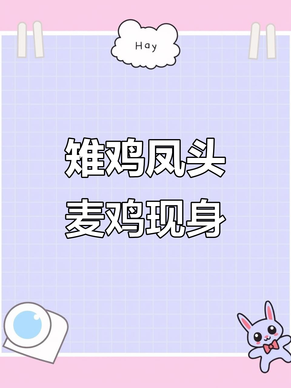 雉鸡与凤头麦鸡同框现身嘉陵江湿地公园,南充美景尽收眼底