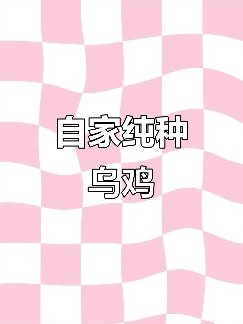 自家繁育的泰和乌鸡,纯种黑凤,数量不多