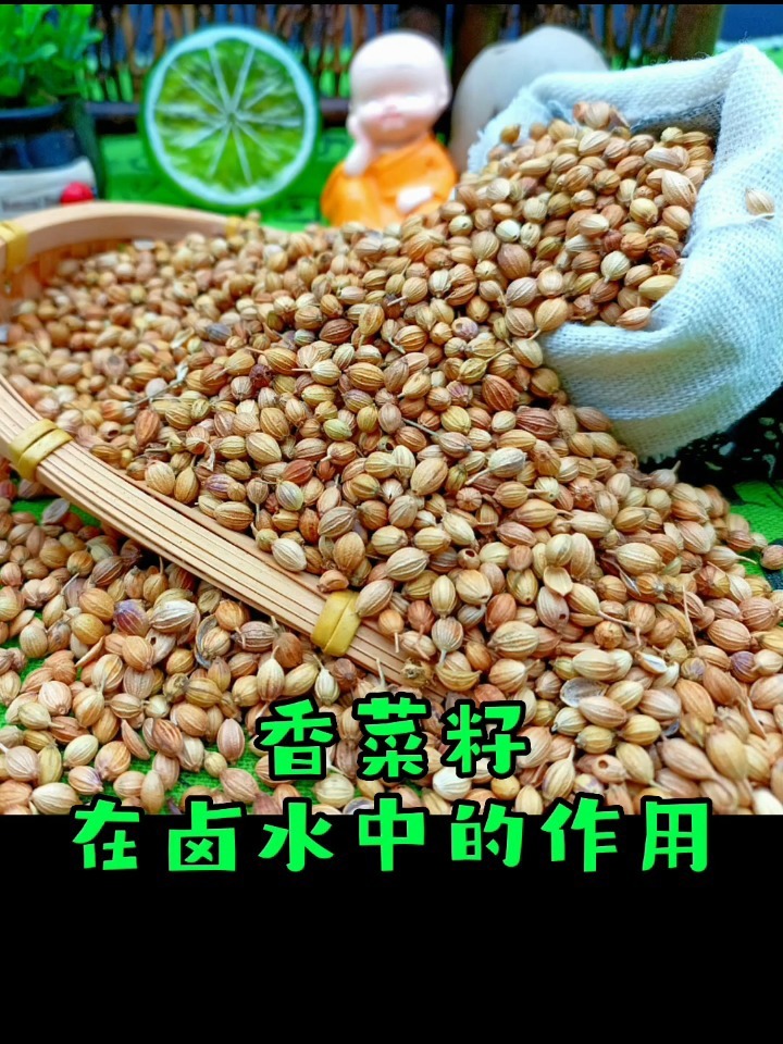 香菜籽在卤水中的作用