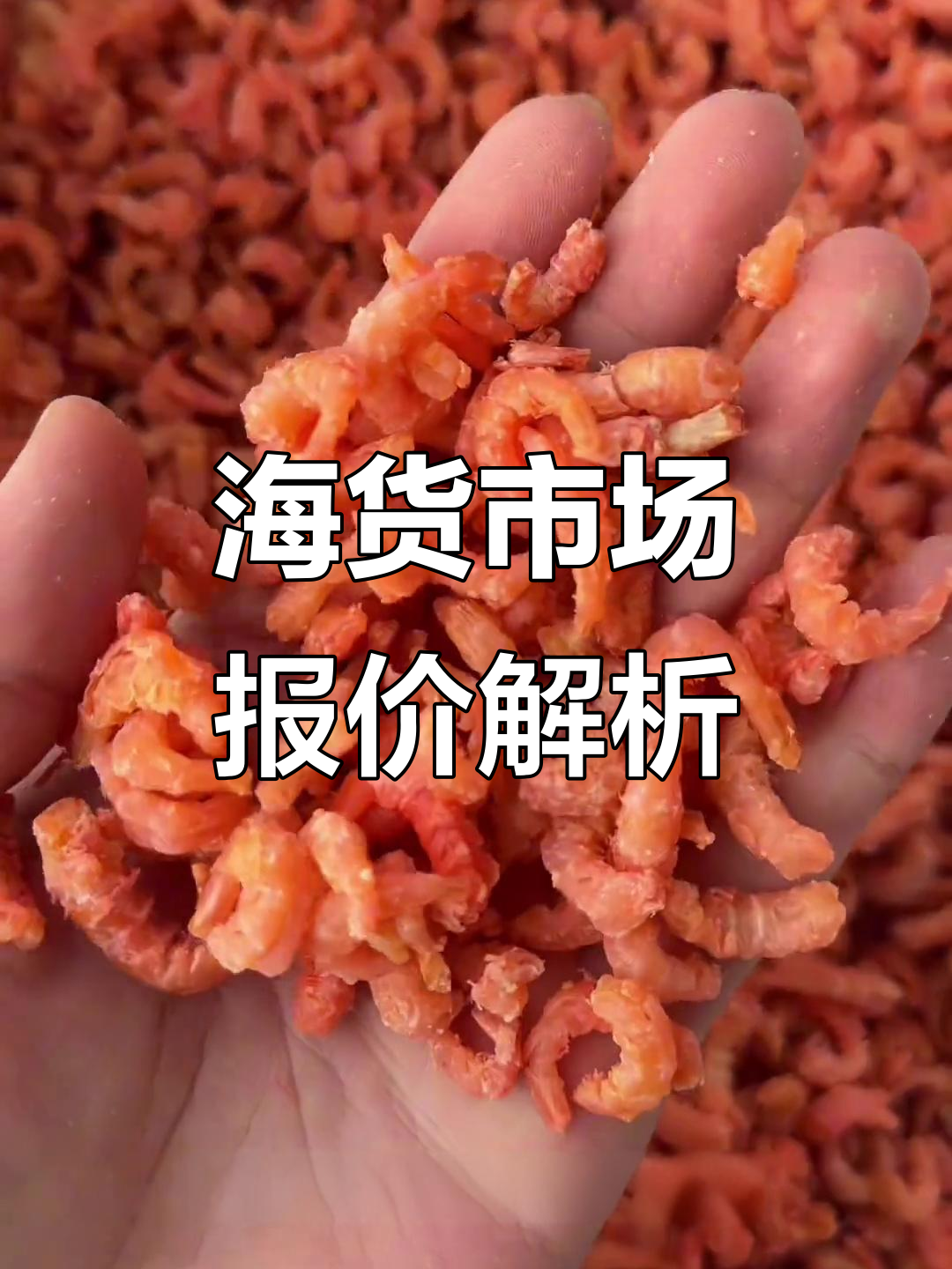 冯家镇海货市场行情大揭秘:干海米、虾酱等热销产品价格一览