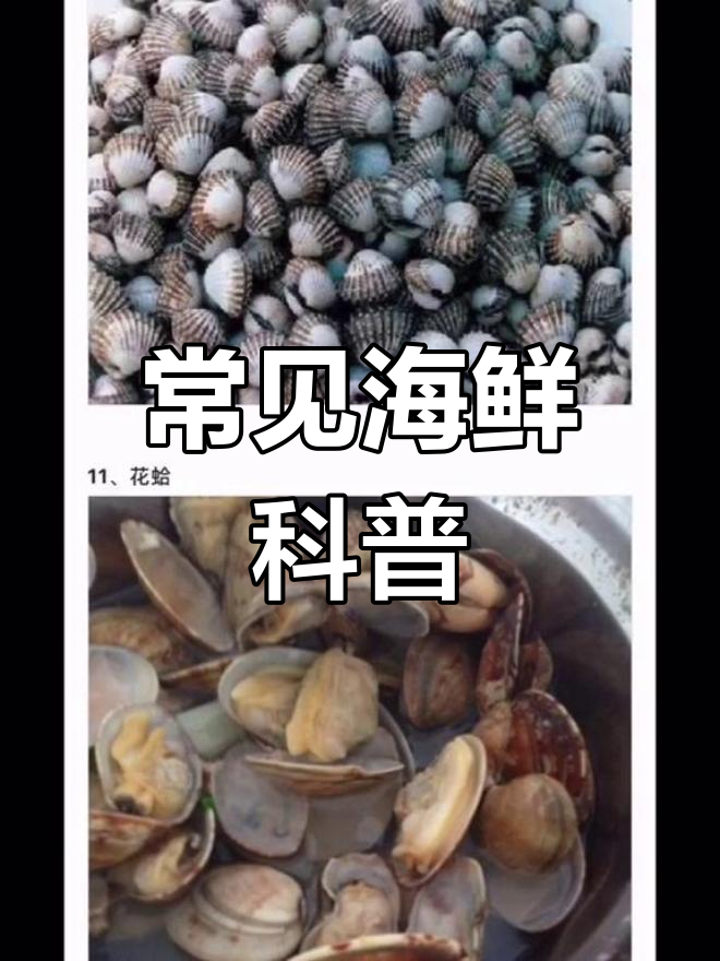 出海前必知海鲜名称大全