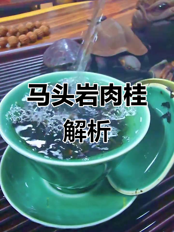 武夷马头岩肉桂:百年传承的乌龙茶,香气与保健并存