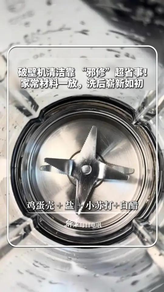 破壁机清洁这招“邪修”绝了!鸡蛋壳、盐、小苏打、白,这些材料一放,洗后崭新如初(来源:)新