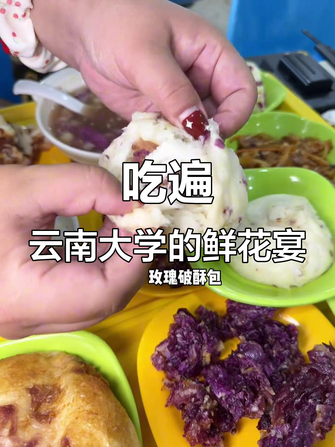 每年春天,云南大学鲜花宴是我最期待的盛事