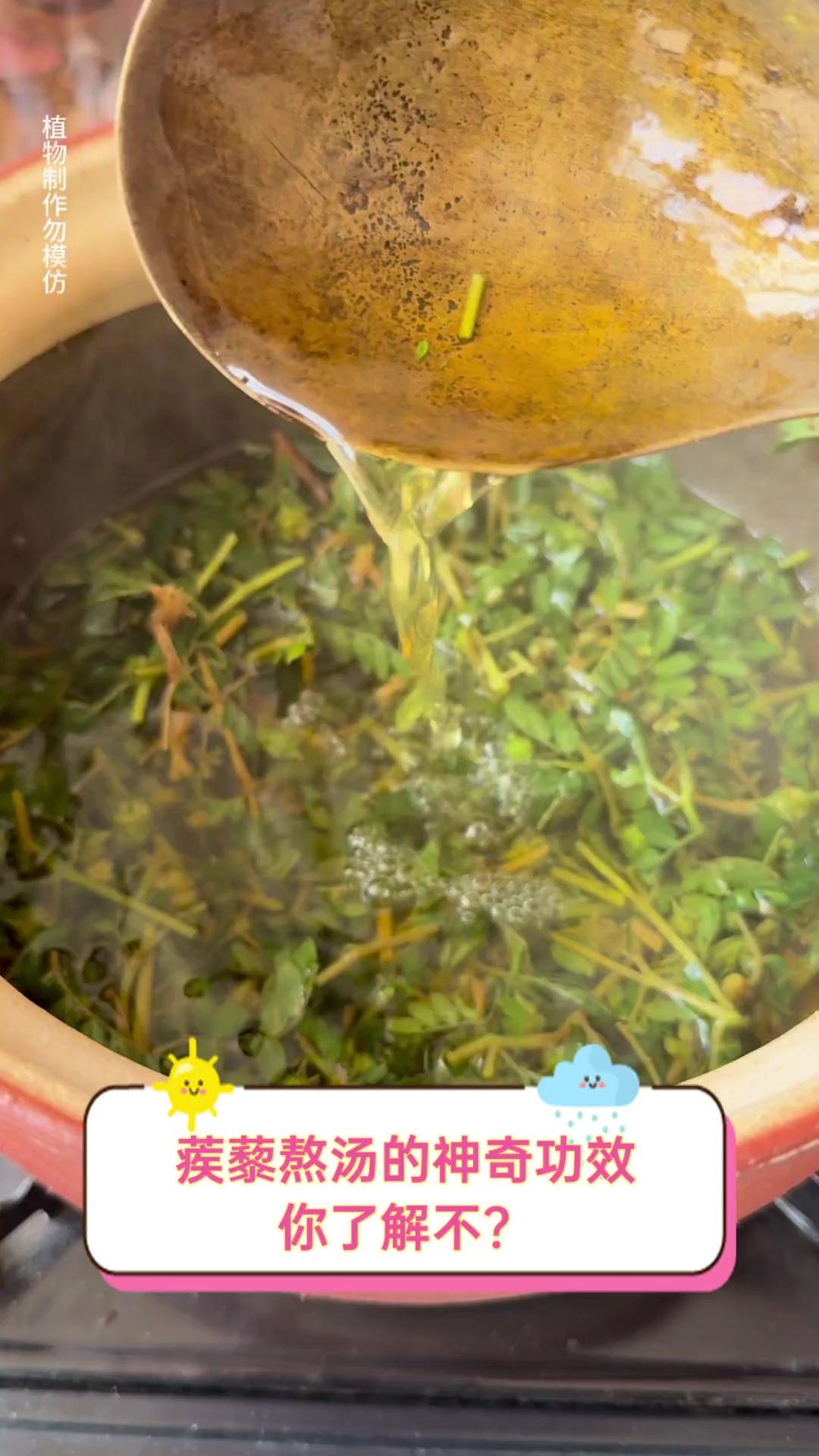 蒺藜熬汤的神奇功效,你了解不?