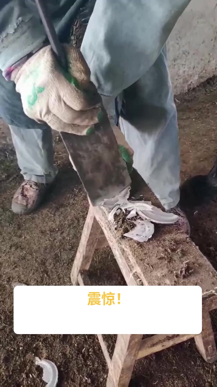 奶茶店多大年龄不能工作?