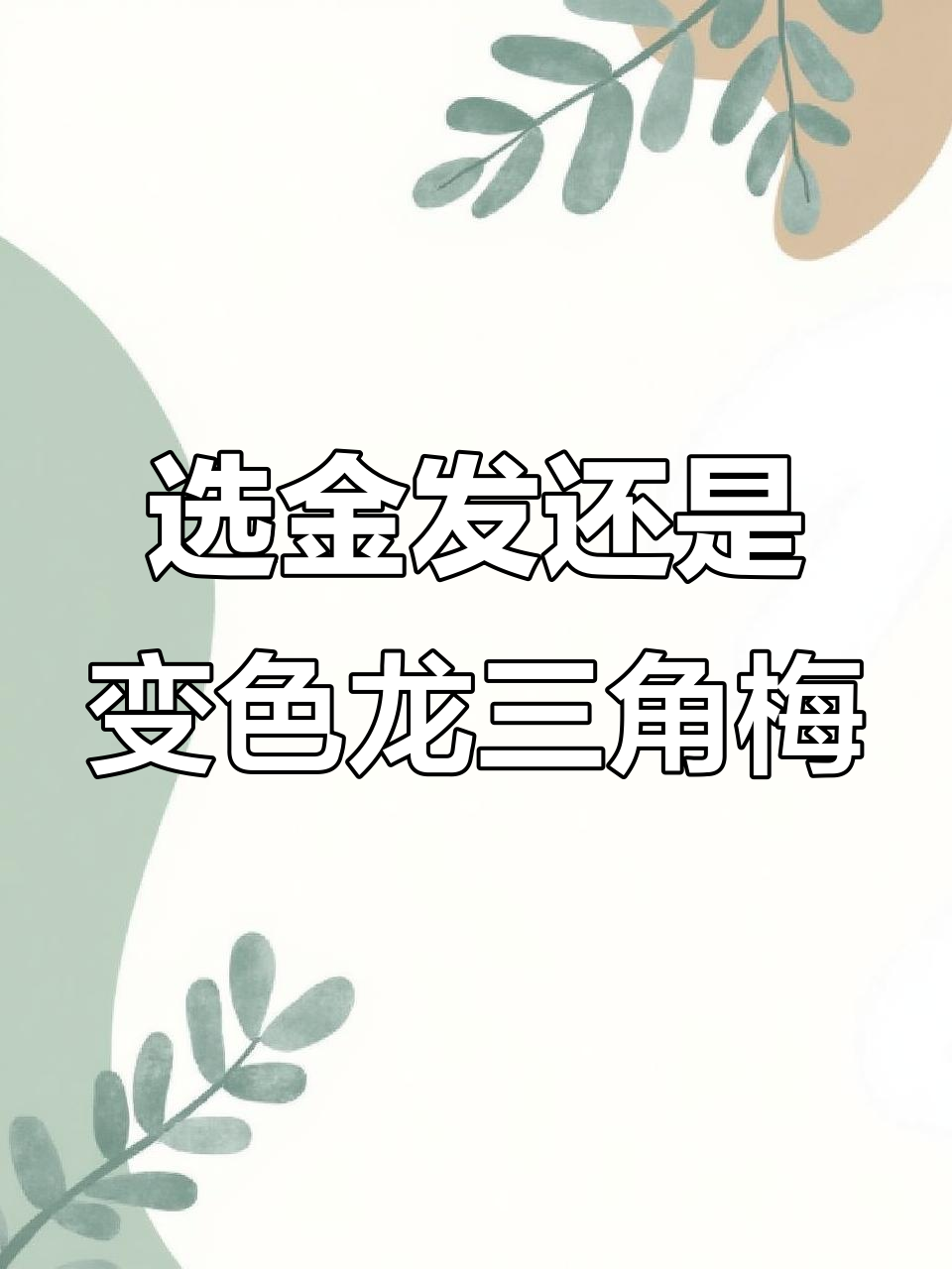 金发女郎与变色龙三角梅,哪个更适合你的阳台?
