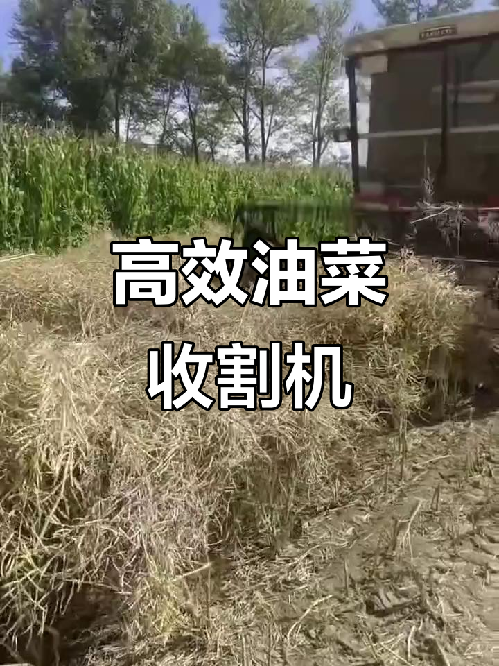 油菜收割机:高效、干净,加长骨腿设计让收获更轻松