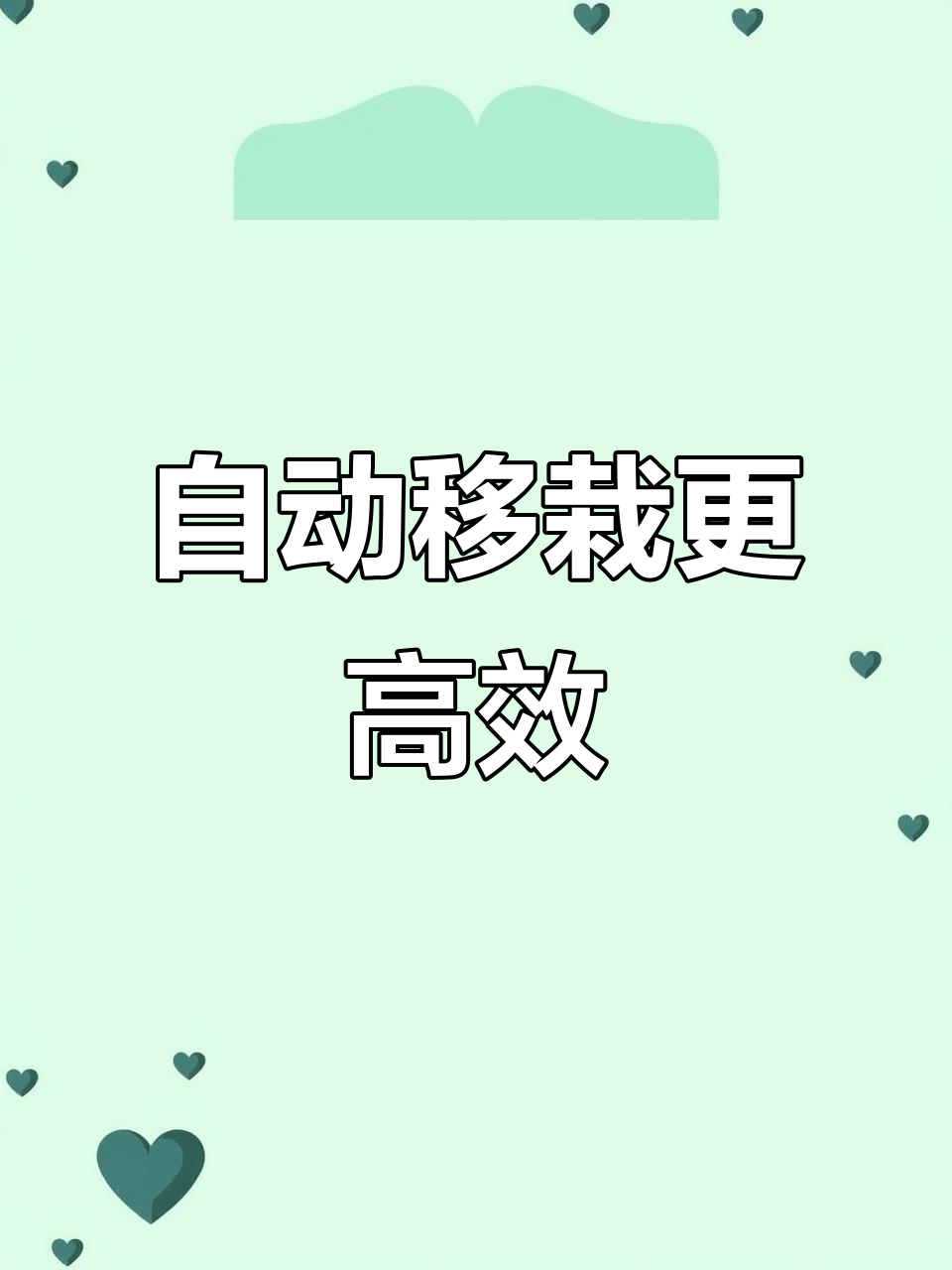智能蔬菜移栽机,提高成活率省人工
