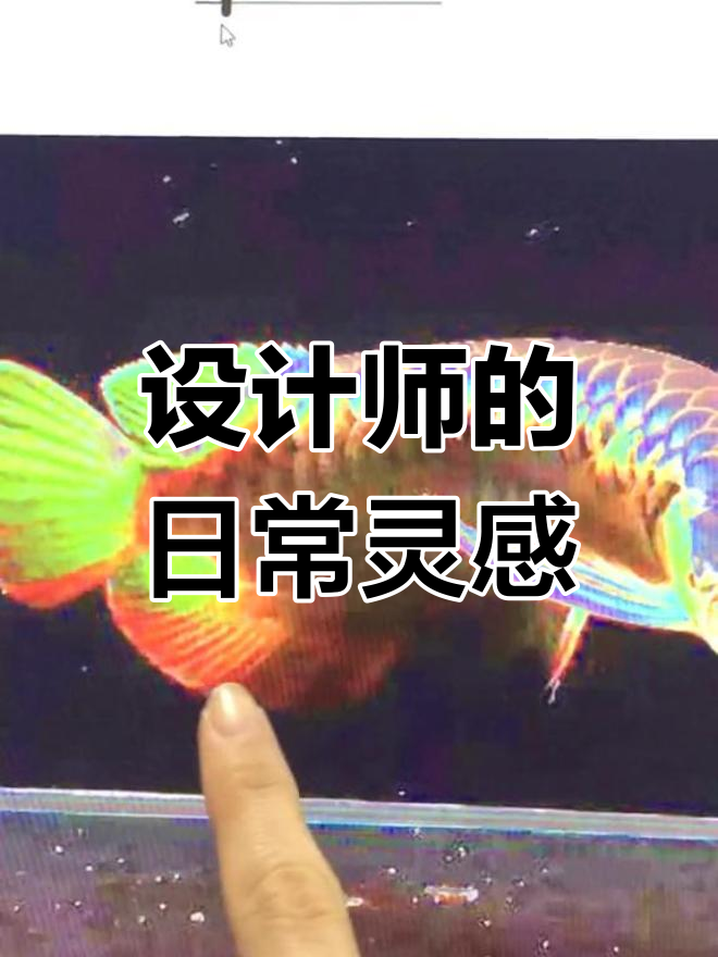 设计灵感源自鲤鱼跃龙门,金龙鱼象征财富与地位