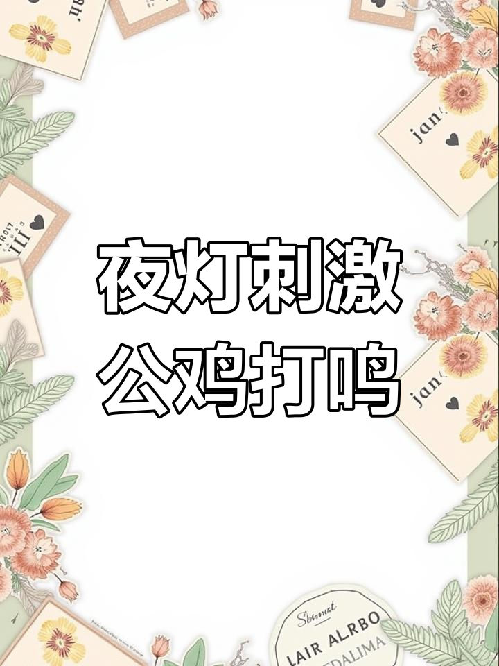公鸡夜晚鸣叫的秘密