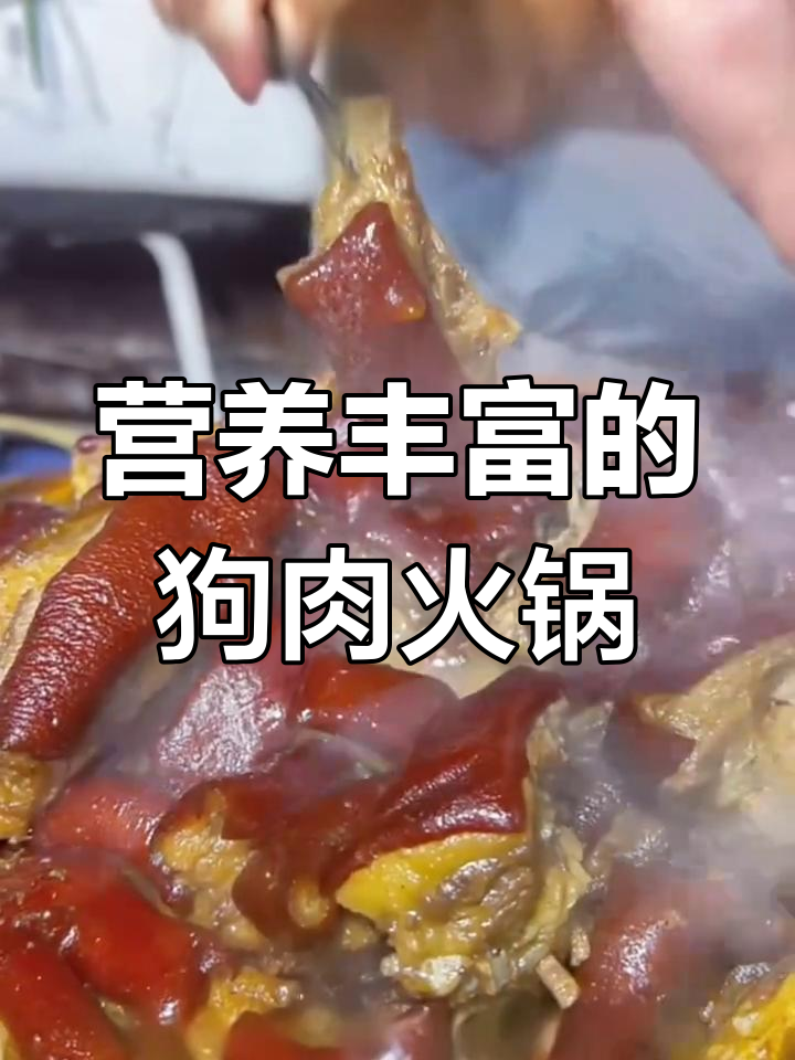 狗肉火锅的营养价值与美味体验