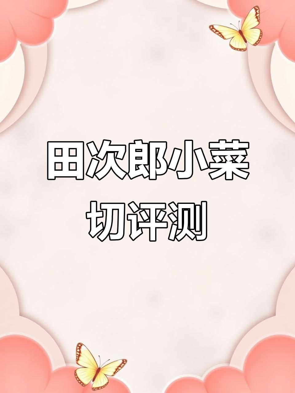 日本田次郎菜刀锋利如新,钢材超乎想象