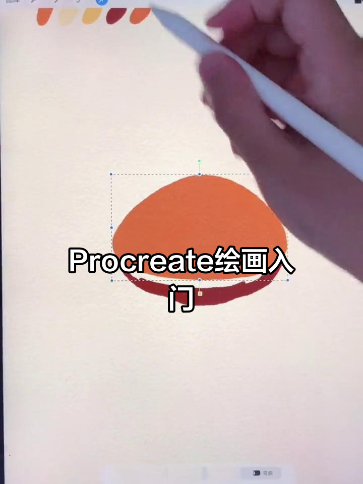 零基础也能轻松学画画,Procreate教程大公开