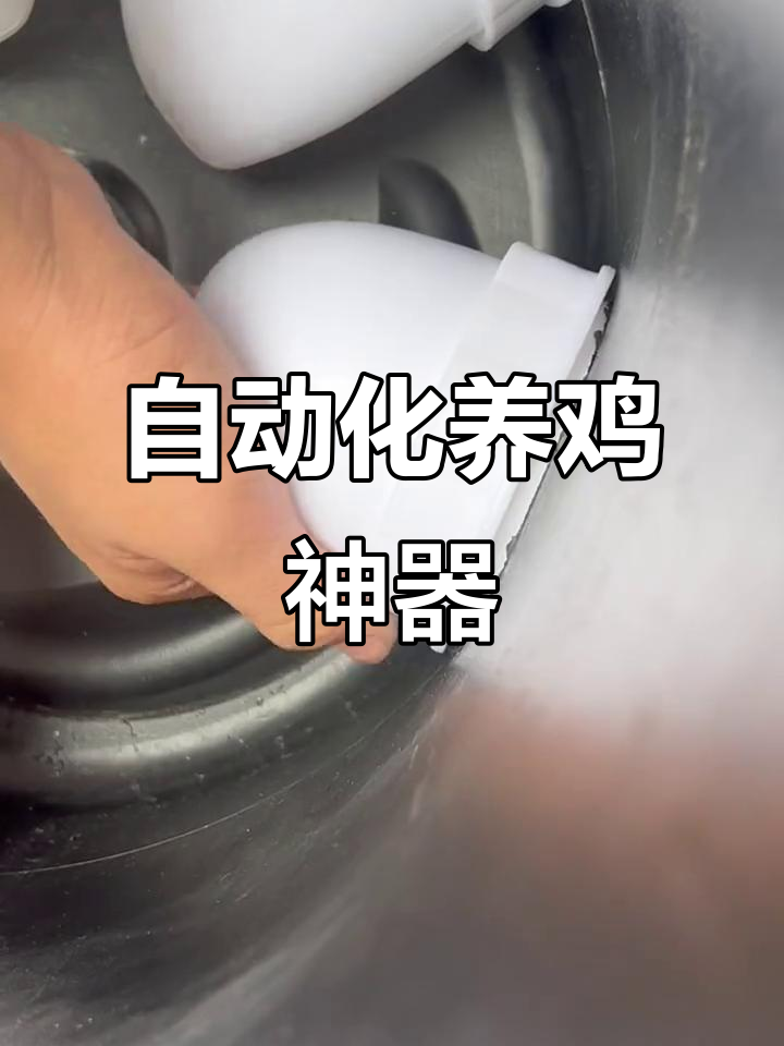 自动喂食器让养殖更轻松,简单安装又卫生