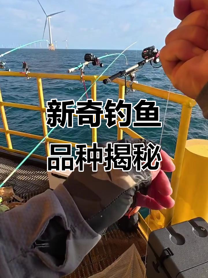 钓友们,这是什么新品种的鱼?银灰色鳞片超亮眼