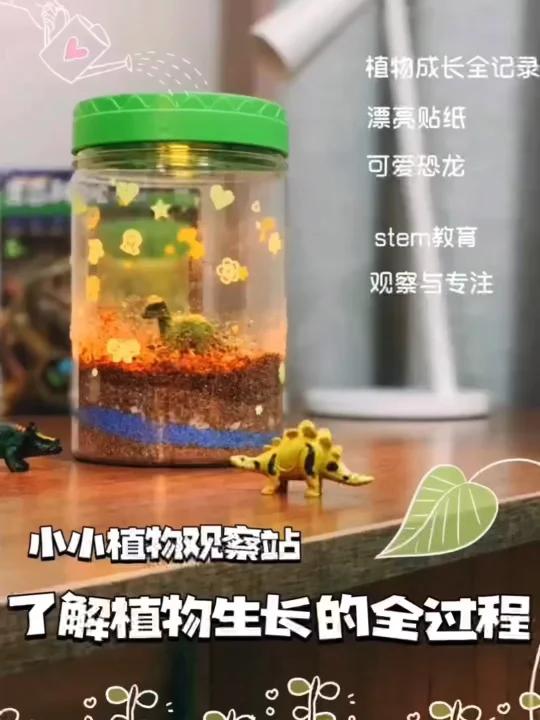 动动手脑认真观察┃植物生长过程全记录