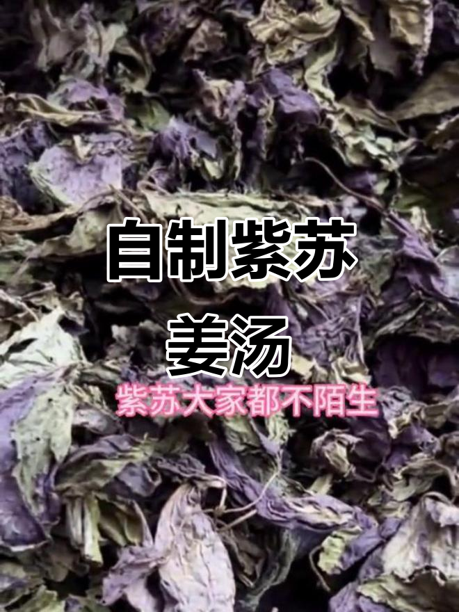 紫苏姜汤,驱寒暖心,轻松自制!
