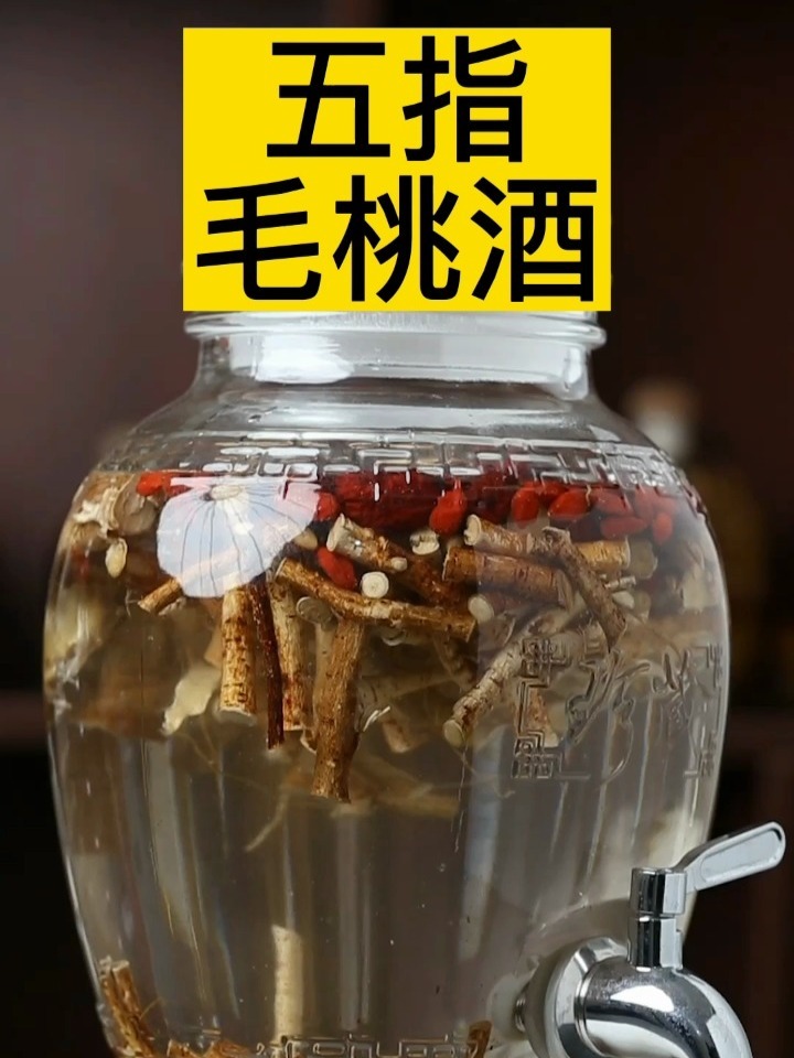 五指毛桃泡酒