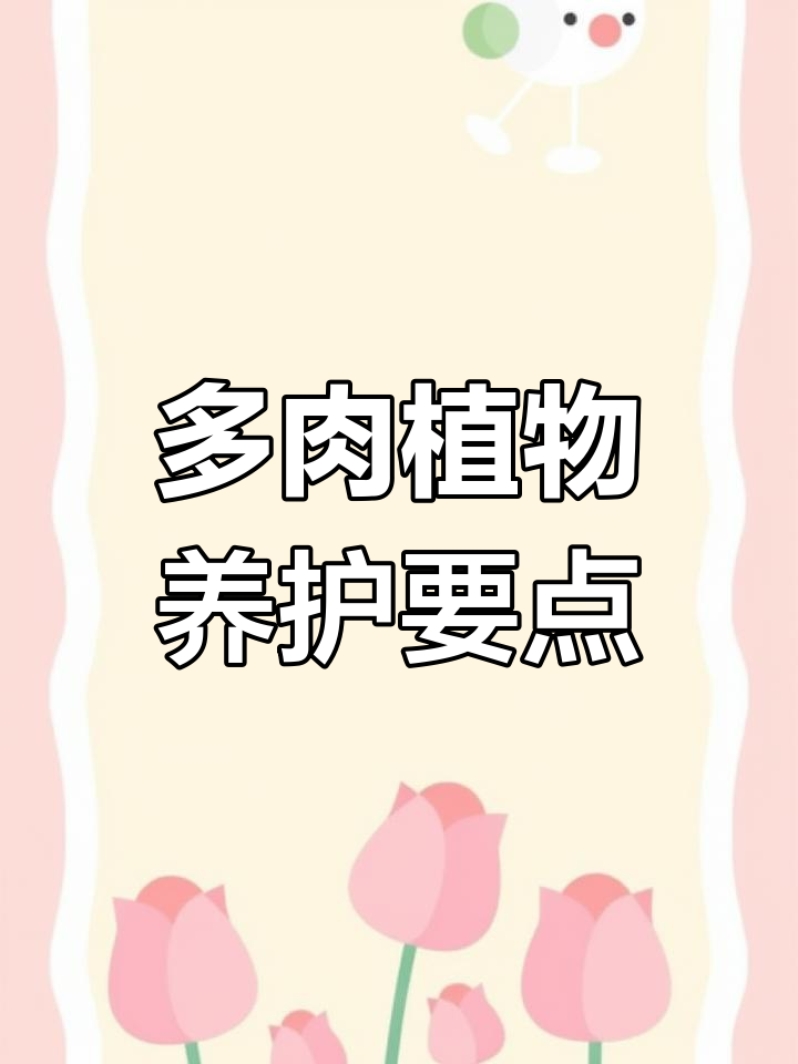 晨露多肉养护全攻略:光照、浇水与配土技巧