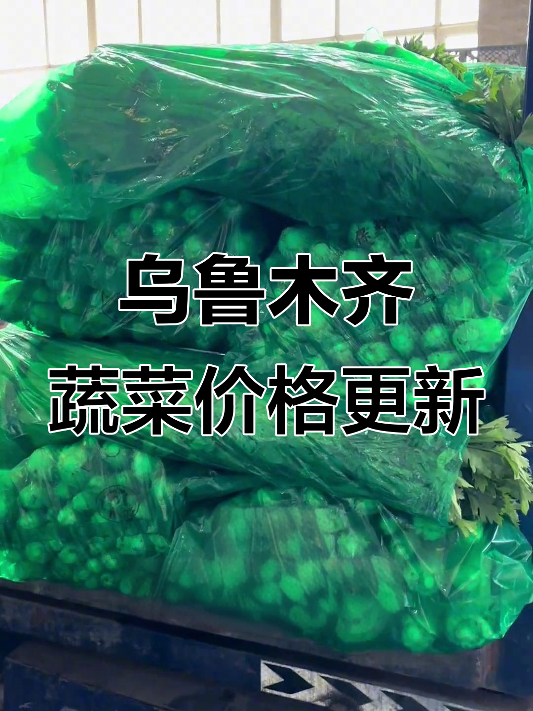 新疆乌鲁木齐5月蔬菜价格大揭秘