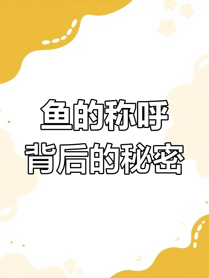 2024年揭秘:为什么鱼叫“鱼”?动物名称由来