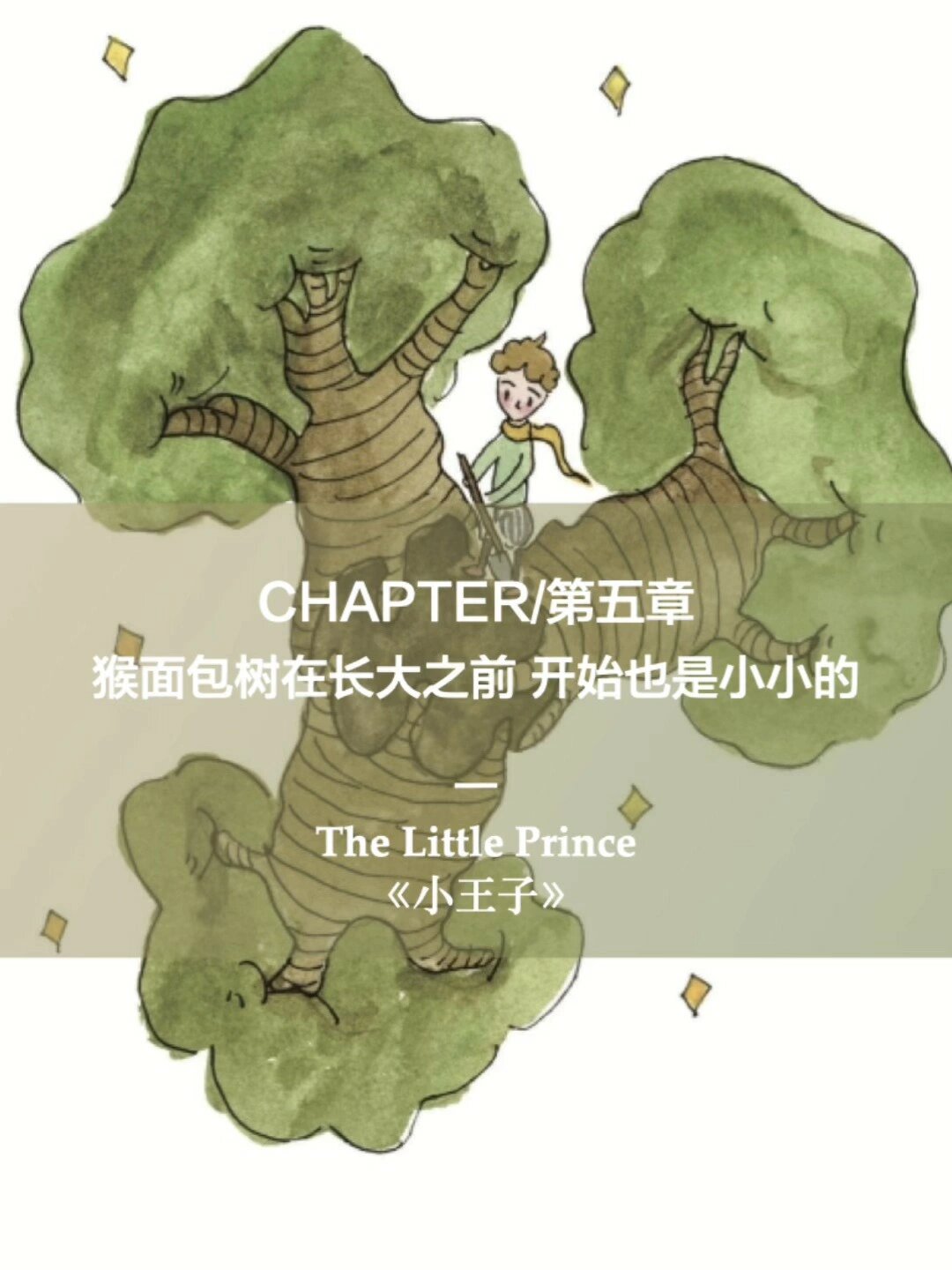 英语原著读卡DAY17|《小王子》猴面包树