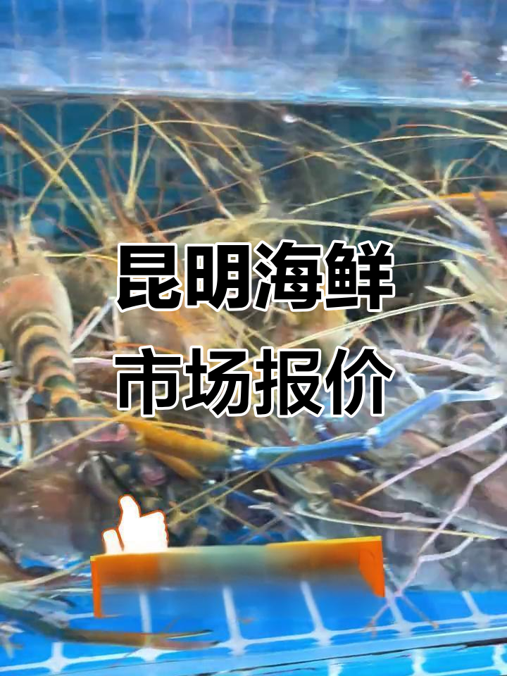 10月9日昆明关上海鲜市场：肥蚝等热销海鲜价格揭秘