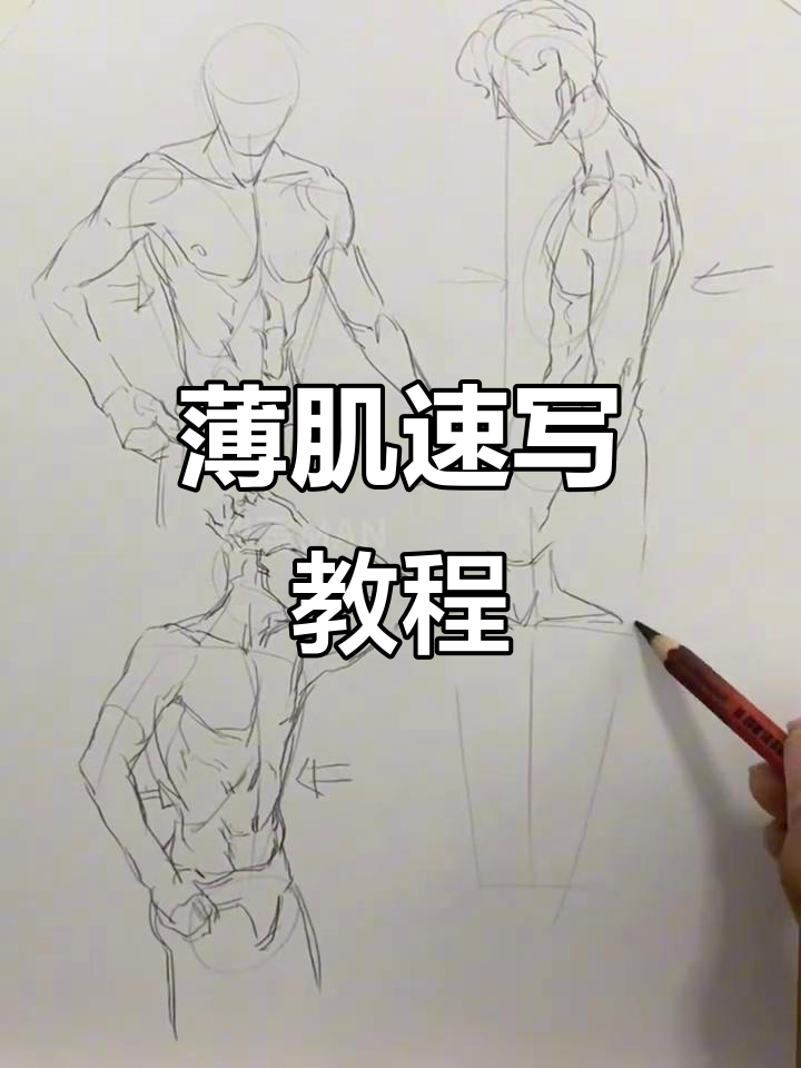 薄肌速写技巧：如何画出搏击感与肌肉线条
