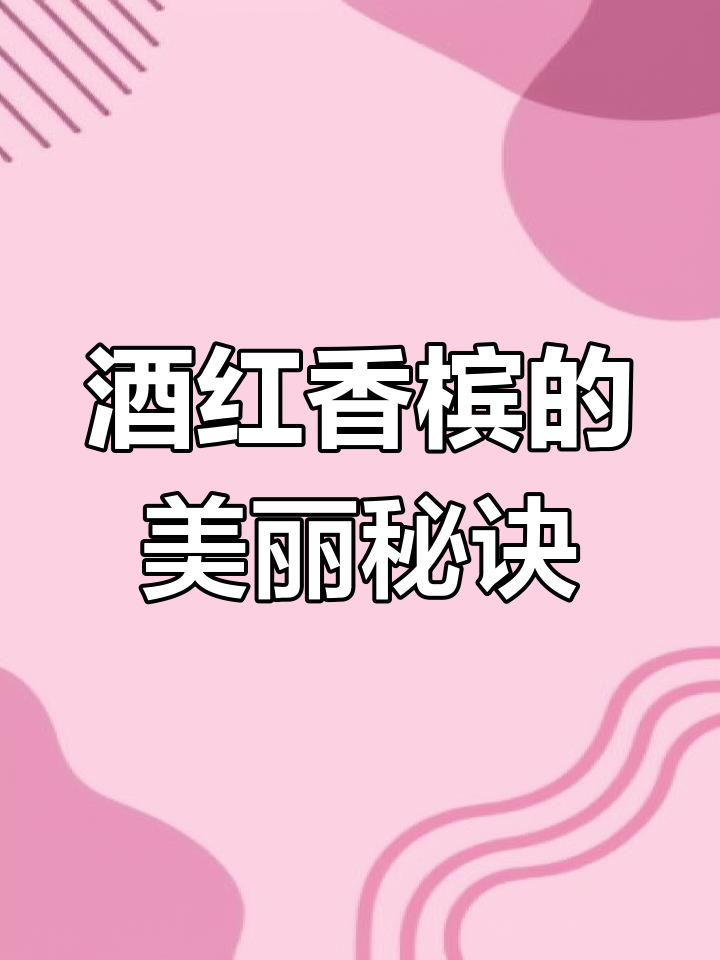 酒红香槟多肉:夏季状态依旧完美,养护技巧全揭秘