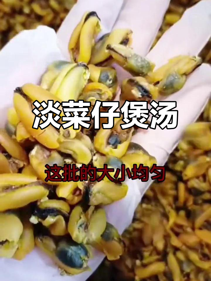 淡菜仔煲汤煮粥，清凉下火必备！