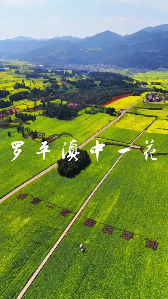春天怎能少了油菜花呢?罗平“滇东一花”,免门票赏百万亩花田,一个拍摄打卡的好地方