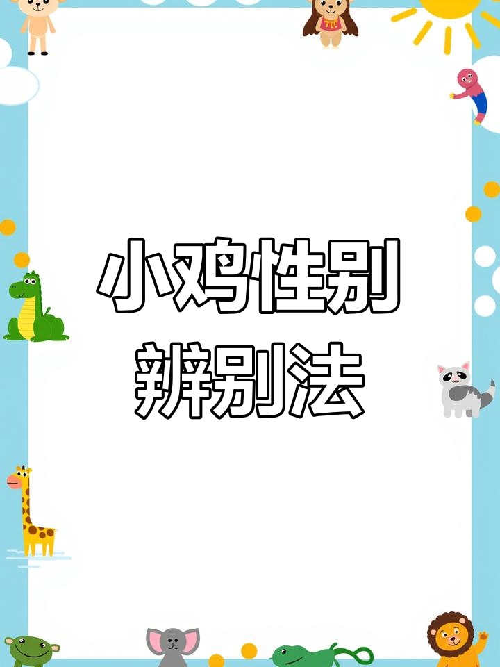 11天小鸡成长记录,教你分辨公母