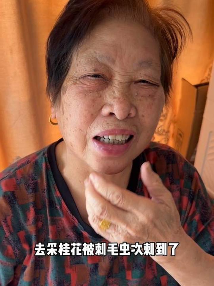 一年一度桂花糕登场!阿菊奶奶闻桂花竟受折磨