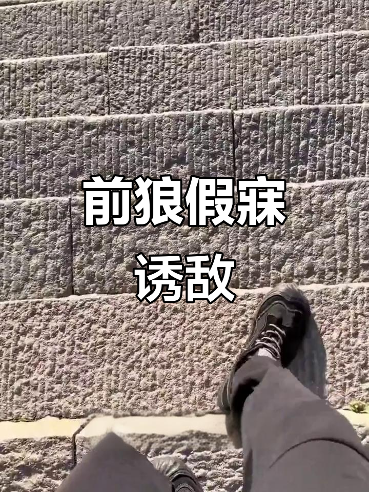 狼假寐诱敌,花飞鱼游皆成景