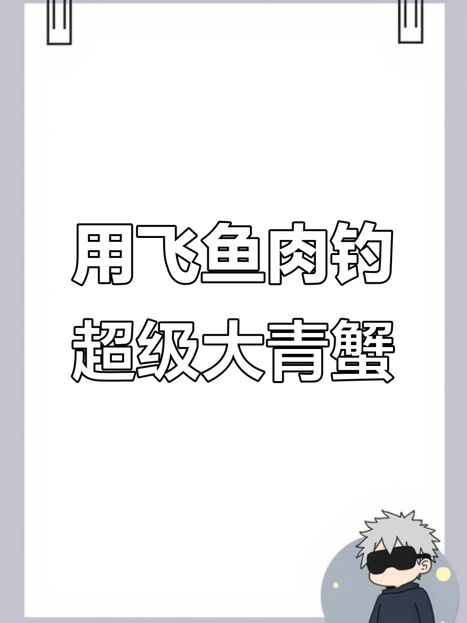 新鲜鲱鱼肉诱捕大青蟹,竟引来石斑鱼和螃蟹争抢