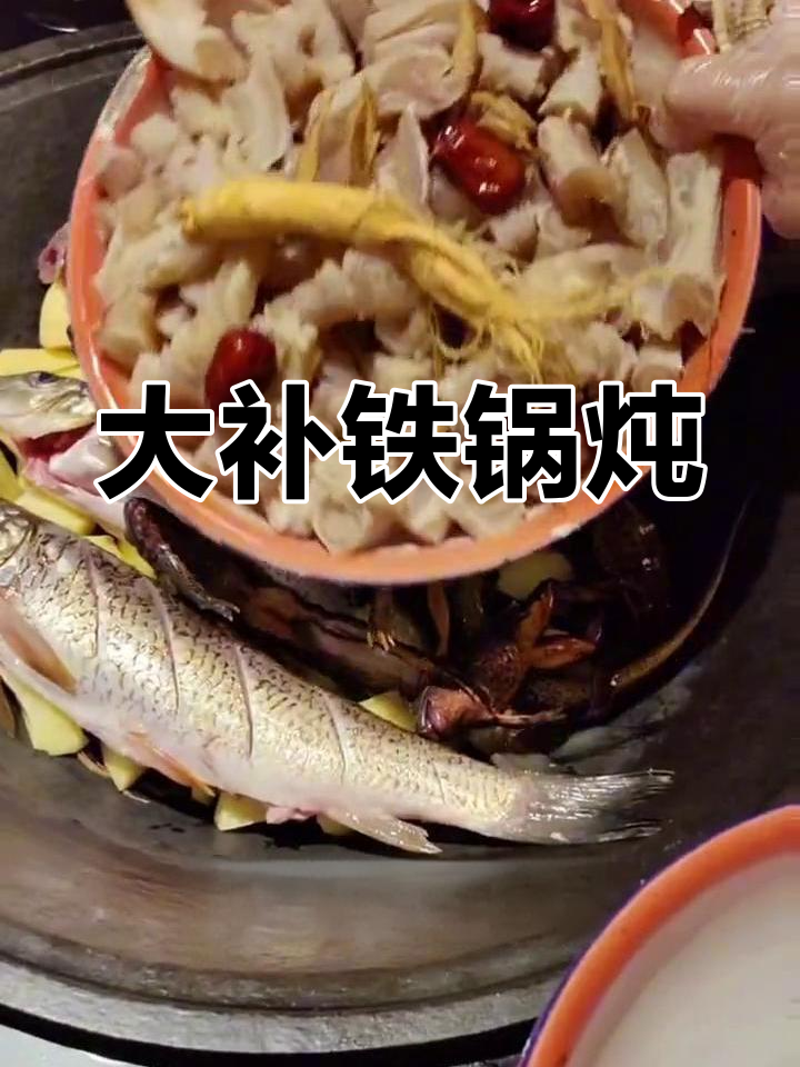 铁锅炖大补,甲鱼牛鞭黄鳝一锅煮