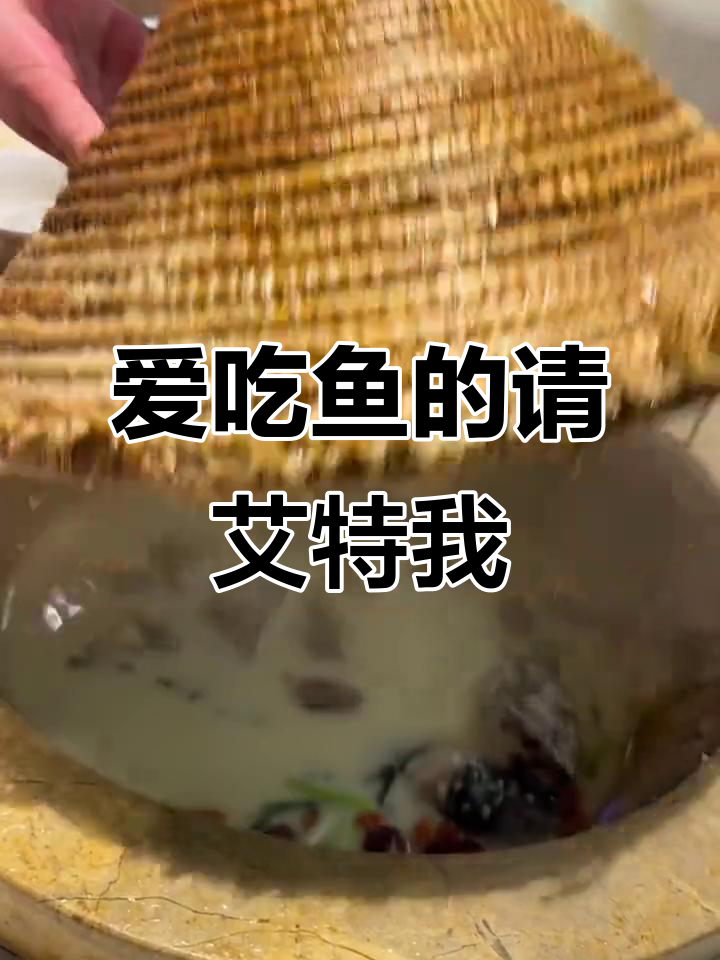 谁才是真正的饭搭子?快来一起享受蒸汽石锅鱼的美味!